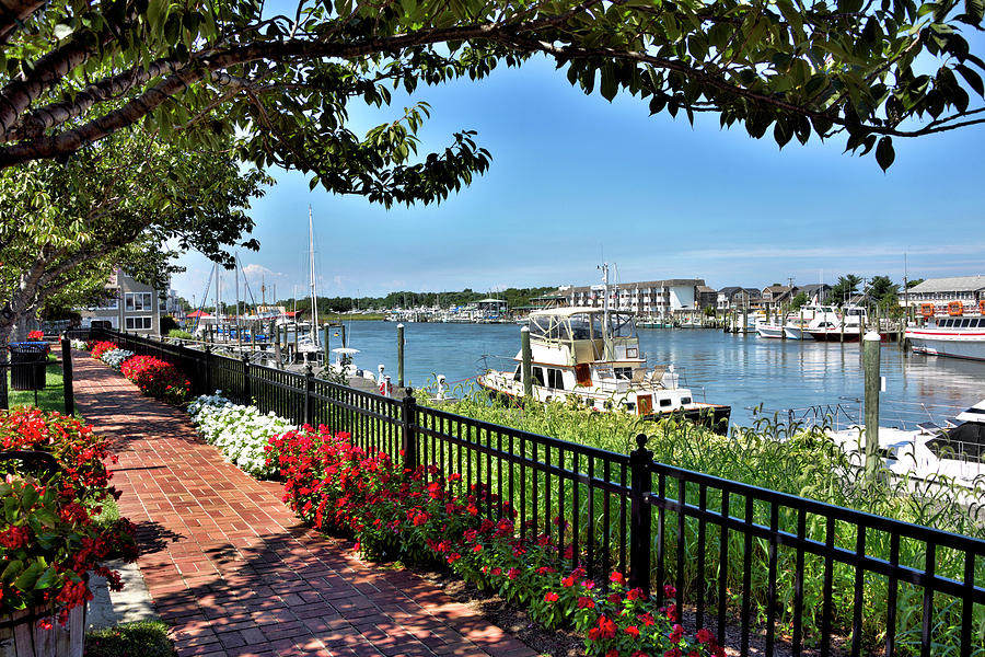 Lewes DE image